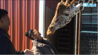 Những Con Người Mặn Mòi Nhất Hành Tinh p24 #Tonghop