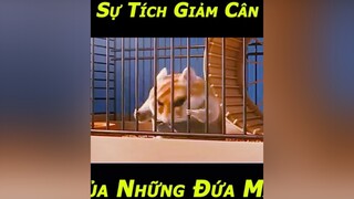 Đúng Ko Hỡi Những Tên Mập Ngoài Kia 🤣 phim phimhay phimmoi phimhoathinh