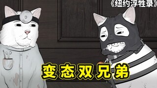 纽约屁民之变态兄弟，猫咪效仿人类虐猫，门当户对和爱情哪个重要