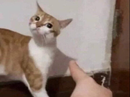 อย่าบีบหัวแม่มือฉันนะ