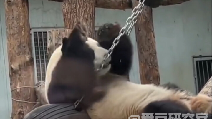 Meng Lan: Aku kalah karena nggak pandai bicara!