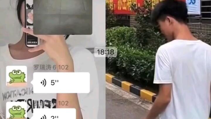Original video of the toilet surge