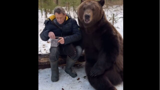 🐻 Grandpa and his Russian pet bear live together in the forest. The cute life of the pet bear eating