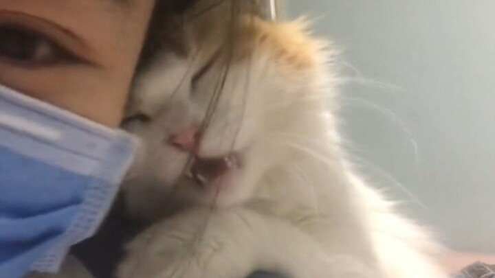 ปัญหาแสนหวานที่สุด