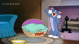 汤姆的猫窝太温馨了