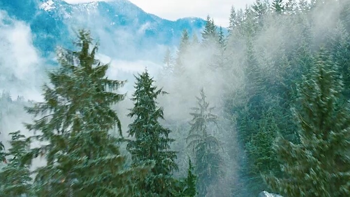 Let’s check out the sheer intimidation of Silver Surfer! Who wouldn’t love that cosmic-powered surfb