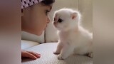 [Hewan] Momen hangat dan lucu bayi dan kucing dalam sehari-hari