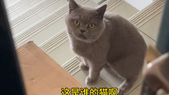 เรื่องที่น่าเหลือเชื่อเช่นนี้เกิดขึ้นกับฉันจริงๆ