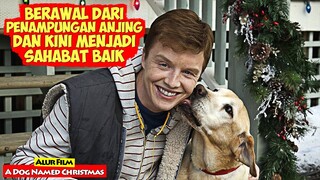 Terimakasih Telah Menjadi Sahabatku | Alur Cerita Film A DOG NAMED CHRISTMAS