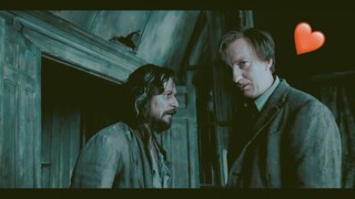 【HP】Lupin x Sirius (gay friends) is more devilish