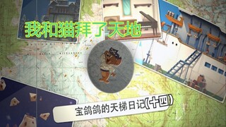 【猫和老鼠手游】宝鸽鸽的天梯日记（十四）竞和猫拜了天地