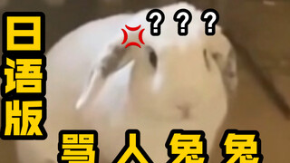 The number of swearing rabbits has increased