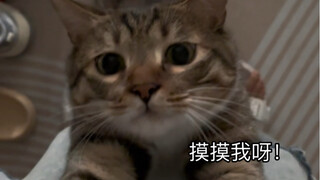 Cat: Have you ever been drug-free?