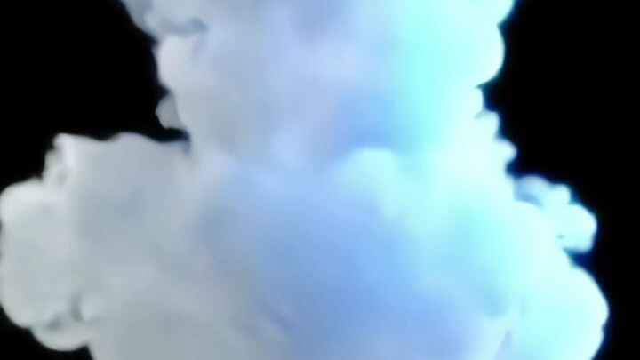 monkey. d. lupi onepiec