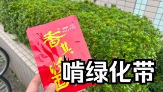 你tm真买香其酱让我啃绿化带啊😡