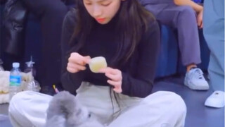 被柳智敏震惊到…投喂zero前先询问了泰妍  怎么会有这么细心的人