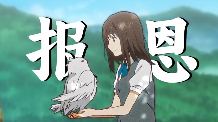 它是最严肃的山神，却做了个最温柔的决定【夏目友人帐杂谈21】
