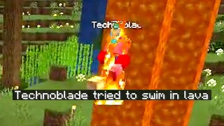 Technoblade Goes For a Swim!