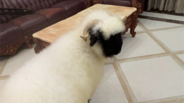 Kalau sifatmu lebih stabil, kamu sebenarnya lucu juga lho!