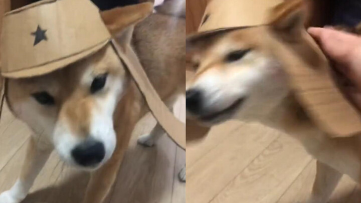 阳光开朗的大佐！