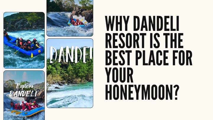 Why Dandeli Resort Is The Best Place For Your Honeymoon?