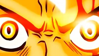 《海贼王》尼 卡 前 夕