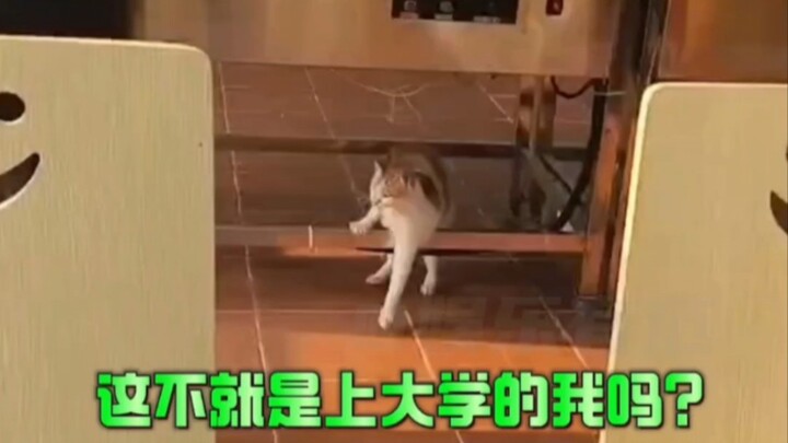 Ngakak, ini kan aku pas kuliah dulu!