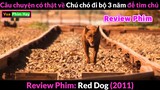 Chú Chó đi bộ 3 Năm để Tìm Chủ - Review phim Chú chó Đỏ