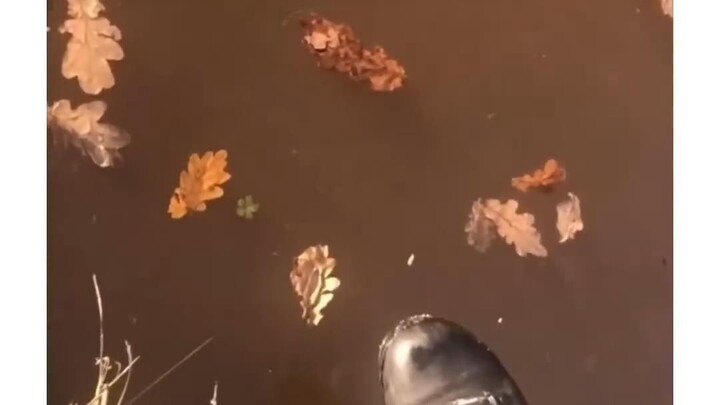 Vốn dĩ chỉ muốn chứng minh băng dày đến mức nào thôi.