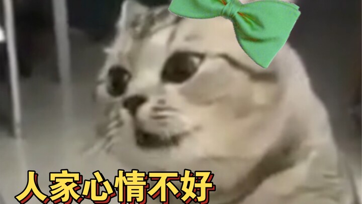 Satu kalimat membuat si 'teh hijau' tercekik