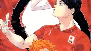 haikyuu team japan