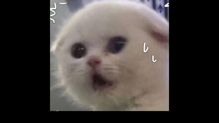 Cá không động, tôi cũng không động