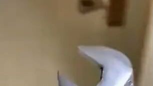 Hard working cat 🤣