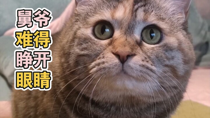 “I Can Smell the Meaty Aroma!”