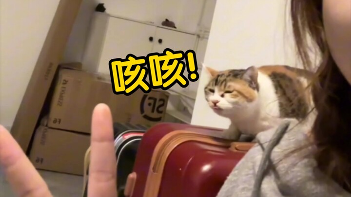 ฉันผัดพริกให้ลูกแมวไอเพราะกลิ่นคนแก่ ดูเหมือนว่าชีวิตมันจะลำบากมาก