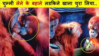 ठुकरा के मेरा प्यार... मेरा इन्तेकाम देखेगी...| Funny Fails Compilation Caught On Camera Part -123