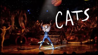 The Rum Tum Tugger from CATS - Stanley Allyn Owen