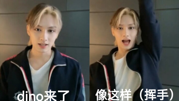 Hai bé đáng yêu! Mèo và rái mỏ vịt cùng chào hỏi nhau~ Dễ thương đến mức muốn hét lên luôn!