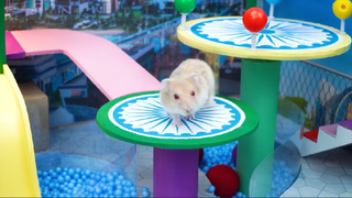 ภารกิจของหนูแฮมสเตอร์ EP 124