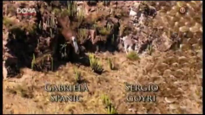 Valentína 66 sk dab