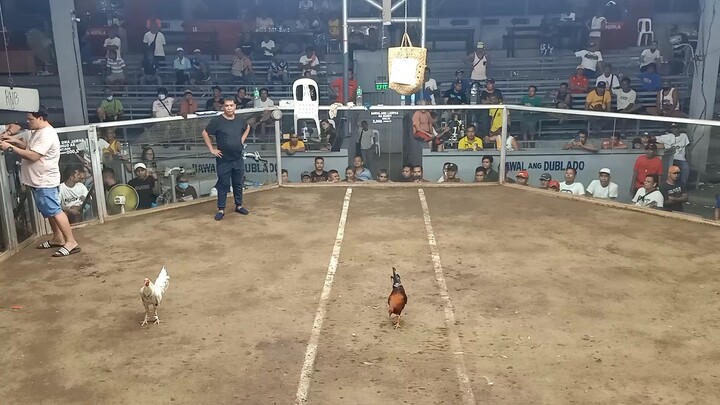 may sicret white 3x win muntinlupa coliseum