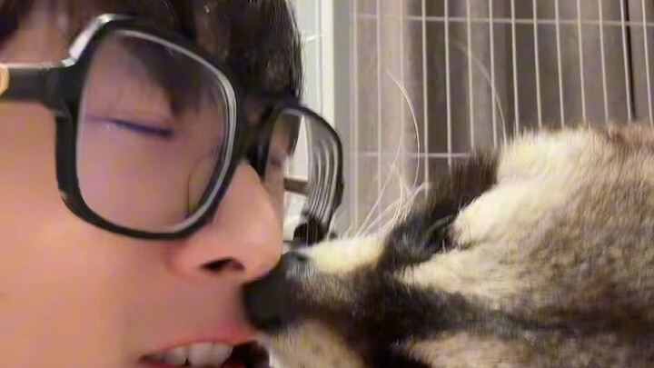 My mouth almost got ripped apart #Raccoon