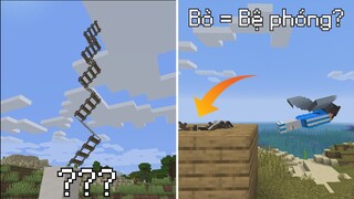 Những Điều ĐIÊN RỒ Mà Có Thể Các Bạn Chưa Bao Giờ Nghĩ Tới Trong Minecraft...