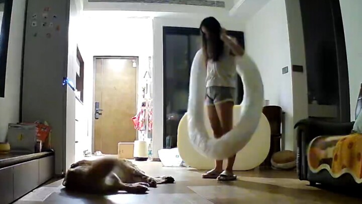 Dog: Mom must have her reasons for doing this [tears] [tears]