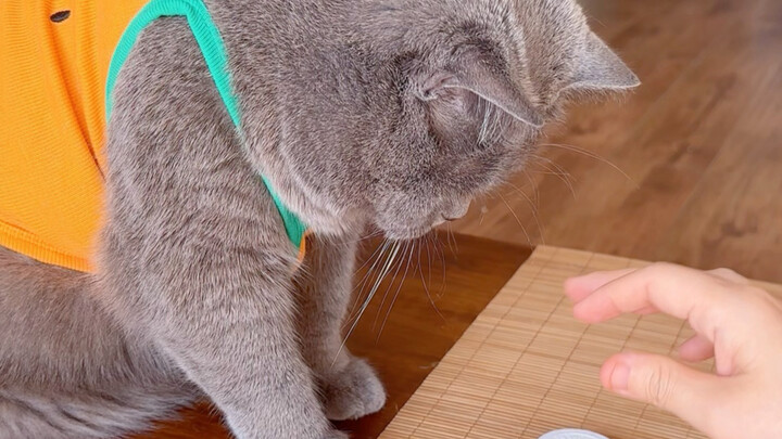 My friend said not to cut a single frame.