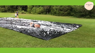 Một Chiếc Video Cực Brủ Brủ p66 #DarkMeme