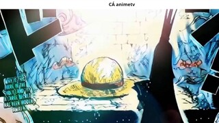 Top 10 giả thuyết có thể trở thành sự thật trong One Piece _ 3