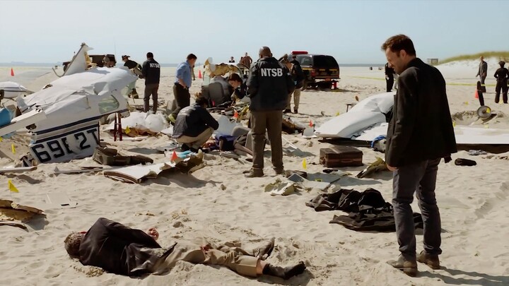 Mystery and推理: A rare air-crash murder case, where all evidence has been completely destroyed—see ho