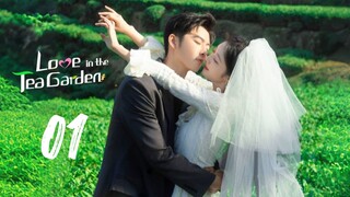 LOVE IN THE TEA GARDEN EPISODE 1 ENGLISH SUB