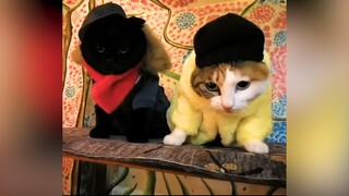 Cục than Thiên Tuế Tuế nay đã có vợ rồi đó | MYPET